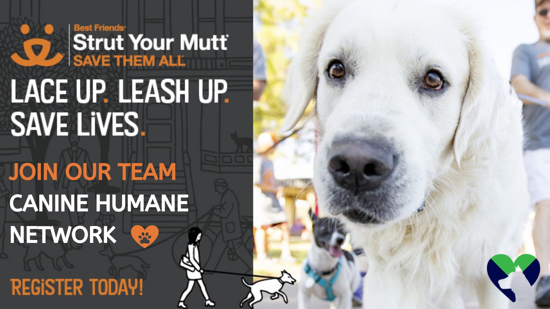 strutyourmutt Canine Humane Network