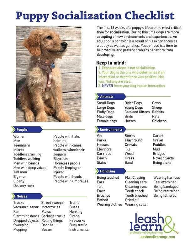 https://caninehumane.org/wp-content/uploads/2019/09/puppy-socialization-checklist.jpg